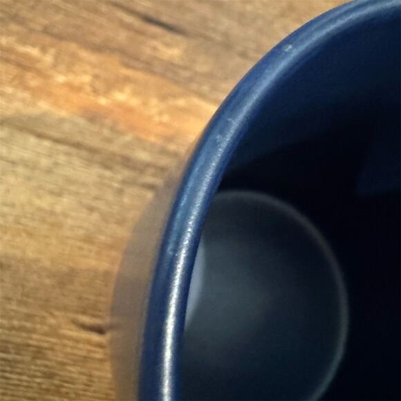 Pendleton Woolen Mills Blue Stoneware Coffee Mug 18oz Stripe National Parks READ - Picture 5 of 8